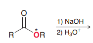 Explain place of 18O in the products in the following saponification reaction?