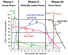 Phase 1: Acute 
Phase 2: Clinically Latent
Phase 3: Crisis