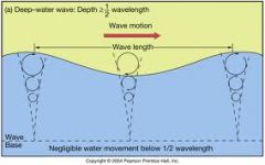 Occur in liquid or gas (aspects of both longitudinal & transverse)
Example: ocean waves (gravity provides restoring force)