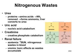 Nitrogenous Wastes