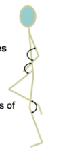 Joint angles
 
The angle between the longitudinal axis of two adjacent segments (Angle between one segment and another)
