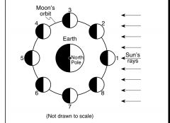 Draw the moon phase as seen

from Earth for position 4