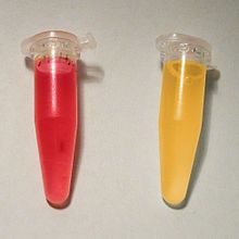 Methyl Red TESTRed-Positive
Yellow- Negative
