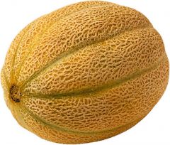 Melon - Cantaloupe