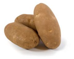 Potato - Russet