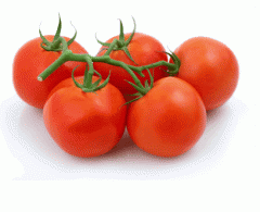 Tomato - Red Cluster