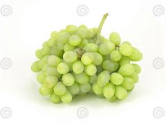 Grape - Thompson Seedless

4022