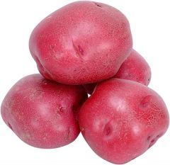 Potato - Red

4073
