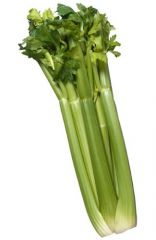 Celery

4582