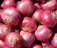 Onion - Sweet Red