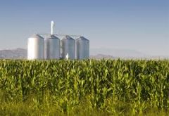 What are large-scale agricultural businesses, such as factory farms or feed lots called? 