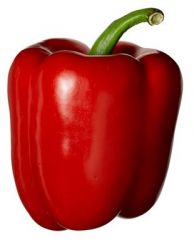Pepper - Bell Red