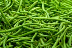 Bean - Green