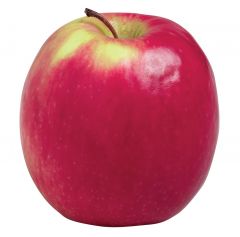 Apple - Pink Lady