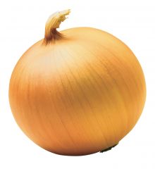 Onion - Walla Walla

4466