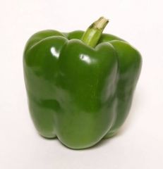 Pepper - Green Bell