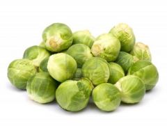 Sprout - Brussel