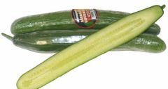 Cucumber - English