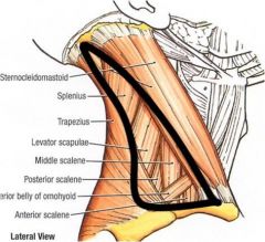 SCM, trapezius muscle, clavicle 
 
Roof: Skin, fascia, platysma
Floor: splenius capitis, levator scapulae, scalenus medius, scalenus anterior
 
omohyoid muscle