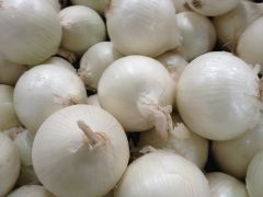 Onion - White