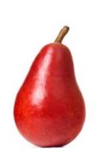 Pear - Bartlett Red