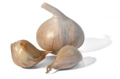 Garlic

4608