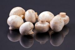 Mushroom - Sm Regular