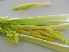 Celery - Loose