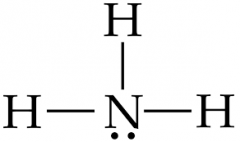 Positive
Polar 
BASIC at biological pH 
R group has second 
primary amino group 
pKa= 10.8 
