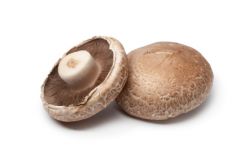 Mushroom - Portobello