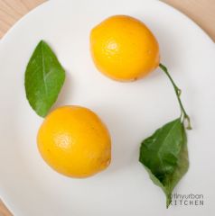 Lemon - Meyer

4304