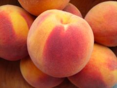 Peach - Large