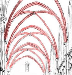 A skeleton framework of arches used in gothic temples