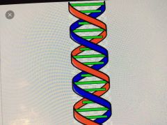 Structure of DNA molecule.