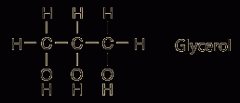 Three carbon molecule that forms backbone of most phospholipids and fats (pg 86).