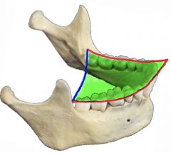 Combination of the
Curve of Wilson 
and Curve of Spee.


Used to develop
balanced occlusion.