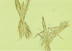 fine colorless to yellow needles that frequently form clumps or rosettes
