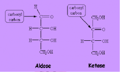 Ketose: has a ketone functional group 

Aldose: aldehyde functional group 

# OF CARBONS 
triose 3
tetrose 4
pentose 5 
hexose 6