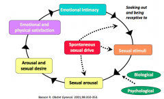 Takes into account emotional intimacy, spontaneous sexual drive, and psychological inputs