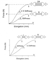 ...2x the stiffness, aka greater slope.   
...1/2 the stiffness, smaller slope.