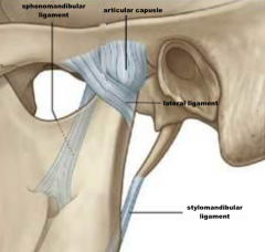 NOT DIRECTLY PART OF THE TMJ BUT PLAY A ROLE IN GUIDING IT.
Sphenomandibular ligament attaches to the lingula of the ramus and sphine of sphenoid bone.
Stylomandibular ligament attaches to angle of mandible and styloid process. Limits  protrusiv...