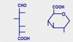 Last numbered carbon is a carboxyl group (as opposed to the hydroxyl carbon)
Glucuronic acid (glucoronate)