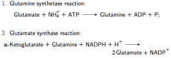 1. Glutamine synthetase reaction:
- In all organisms
- Important regulatory point 

2. Glutamate synthase reaction 
- Only in plants and bacteria

					
				
			
		
	


Net ammonia incorporation is the result of the 2 reactions.