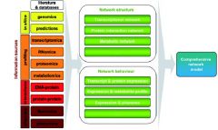 Literature/databases


+


Network structure


+


Network behaviour


=


Comprehensive network model


 