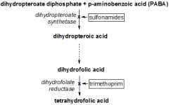 Dihydropteroate synthetase inhibitor!!!
 
(remember dapsone inhibits this too)