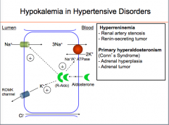 Diuretics and these 2 syndromes cause hypokalemia by increasing distal Na delivery.
