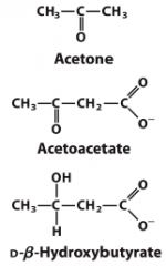 Accumulation of "ketone bodies"


In liver there is high [acetyl-CoA] and low [oxaloacetate]