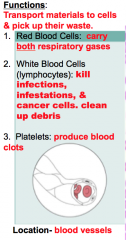 Platelet