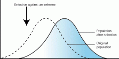   Individuals at one end of a distribution curve
have higher fitness than individuals in the middle or at the other end of the
curve .