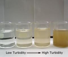 the appearance of things inside a liquid culture. By swirling a tube, you can observe if the sample is turbid. Any degree of turbidity indicates bacterial growth. 

Lab Module 6: Basic culturing skills and sterile techniques